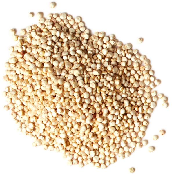 Quinoa Blanca Perlada Orgánica - Hierbas Orgánicas de México